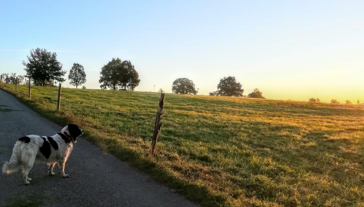Ferienwohnung Hoyer Habach  Bagian luar foto